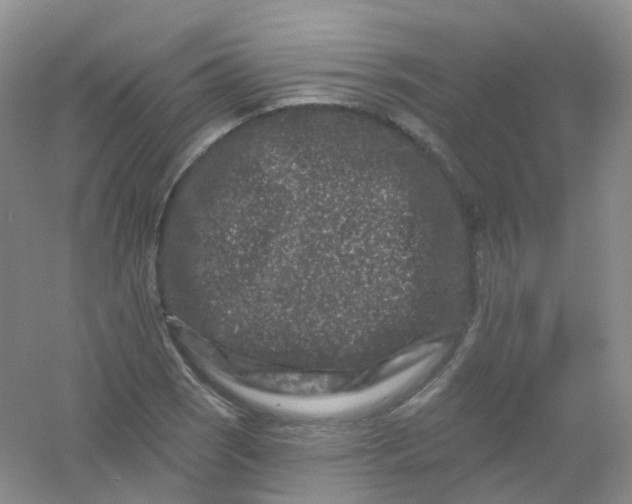 X0000054461121200508121930