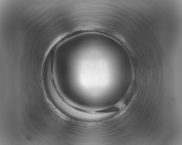 X0000054461122200508121930