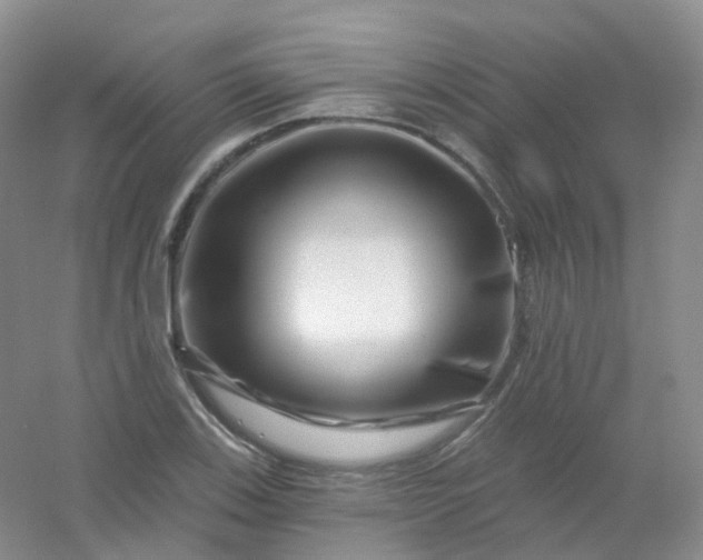 X0000054461123200508121930