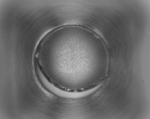 X0000054461124200508121930