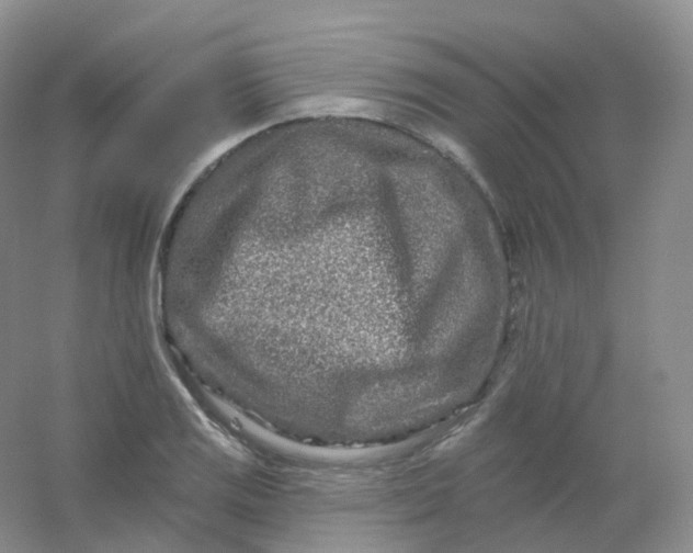 X0000054461125200508121930