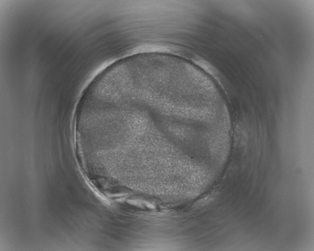 X0000054461127200508121930