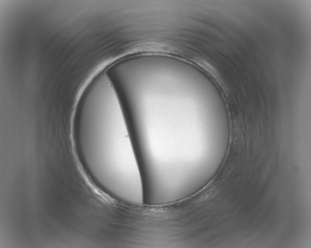 X0000054461128200508121930