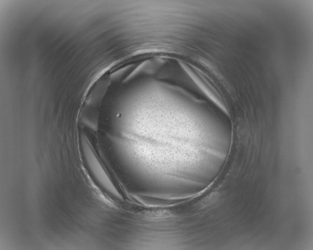 X0000054461129200508121930