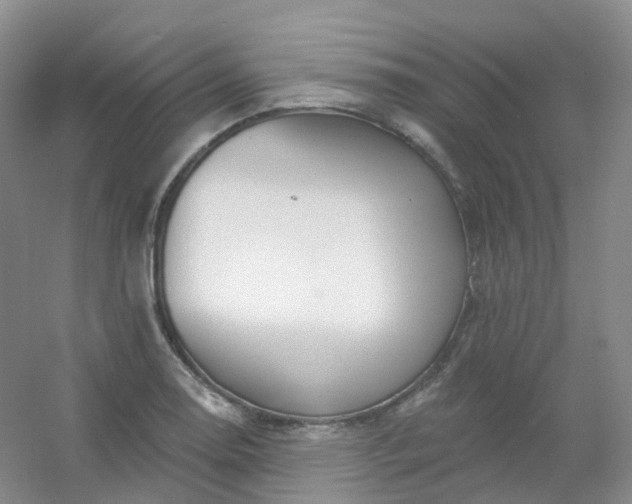 X0000054461130200508121930