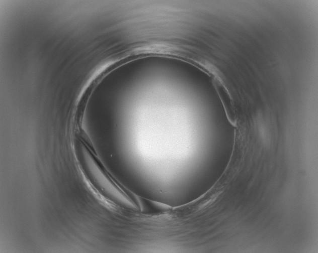 X0000054461131200508121930