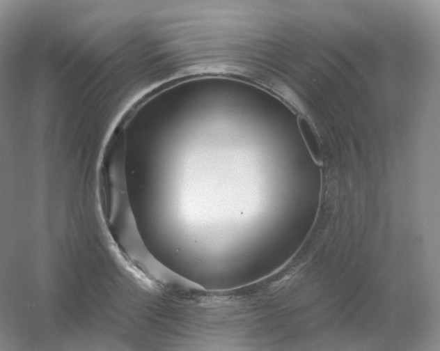 X0000054461132200508121930