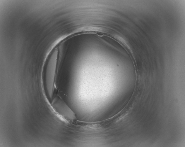 X0000054461133200508121930