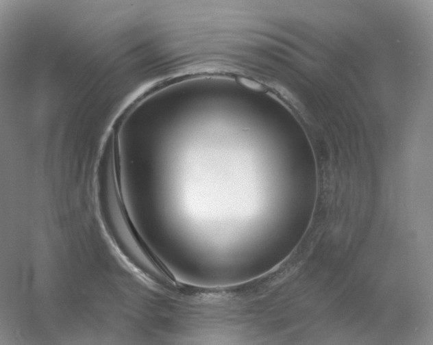 X0000054461134200508121930