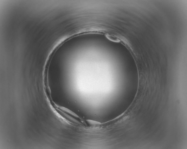 X0000054461135200508121930