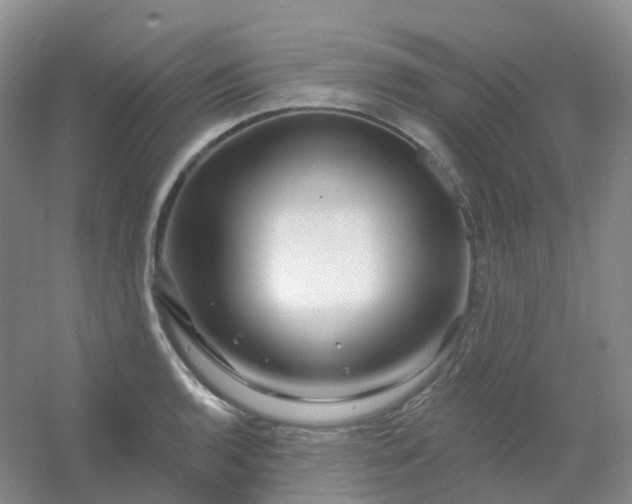 X0000054461136200508121930