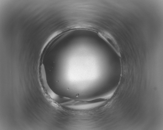 X0000054461138200508121930