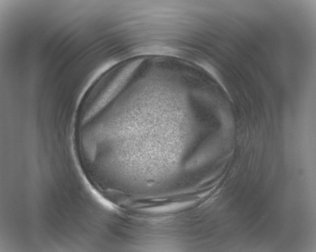 X0000054461139200508121930