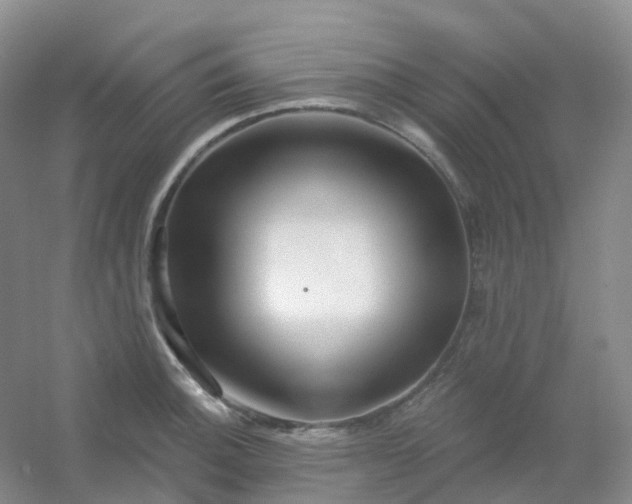 X0000054461140200508121930