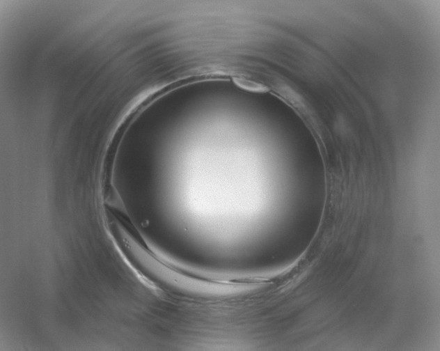 X0000054461141200508121930