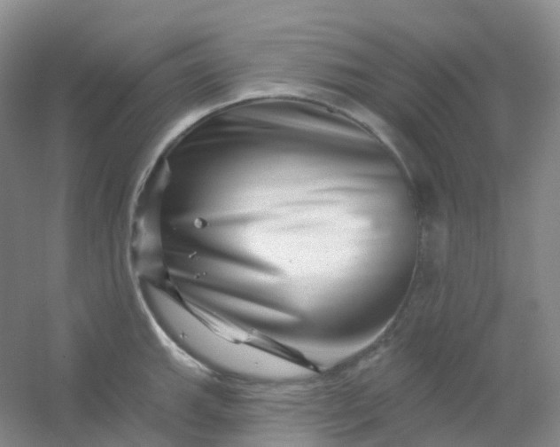 X0000054461143200508121930