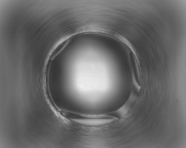 X0000054461144200508121930