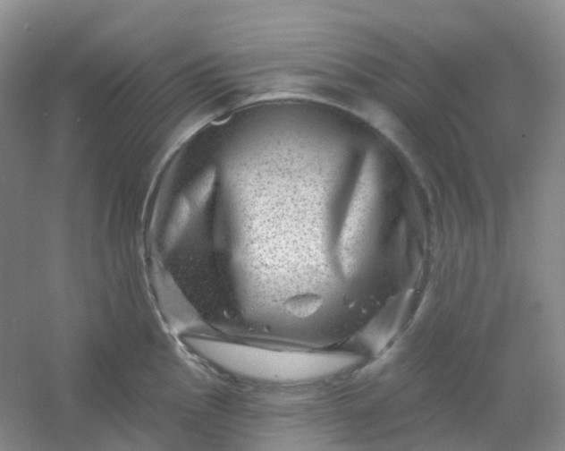 X0000054461145200508121930