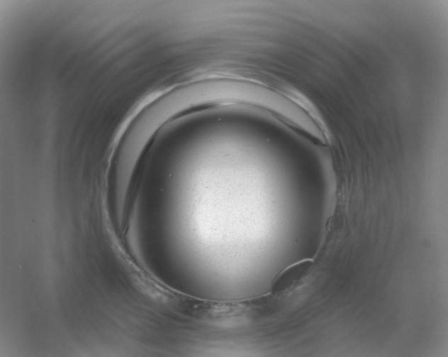 X0000054461146200508121930