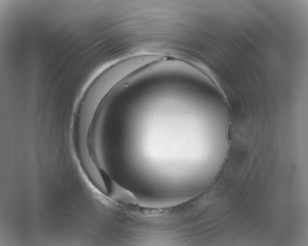 X0000054461147200508121930