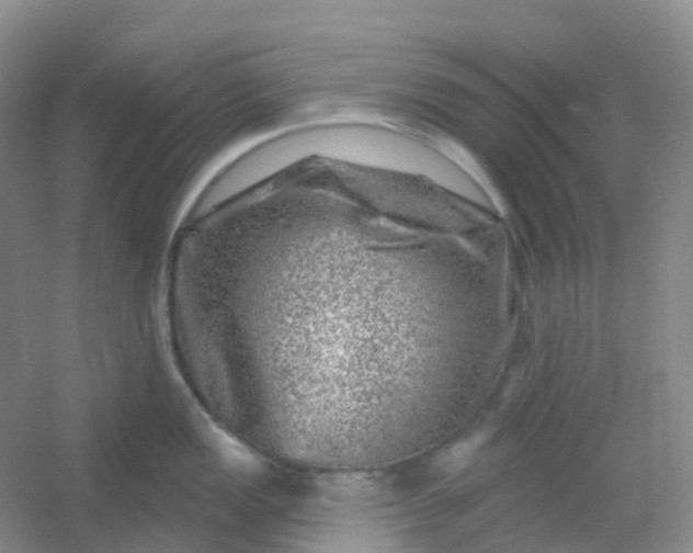 X0000054461149200508121930