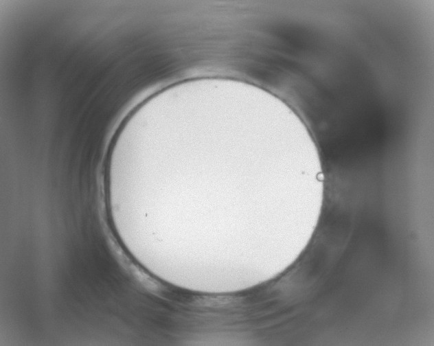 X0000054461150200508121930