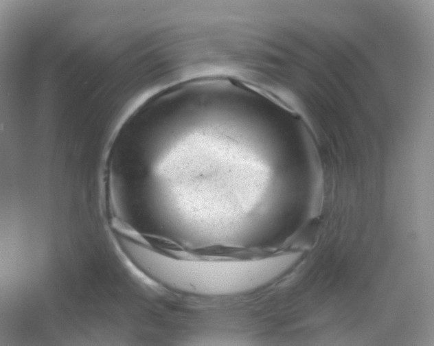 X0000054461151200508121930