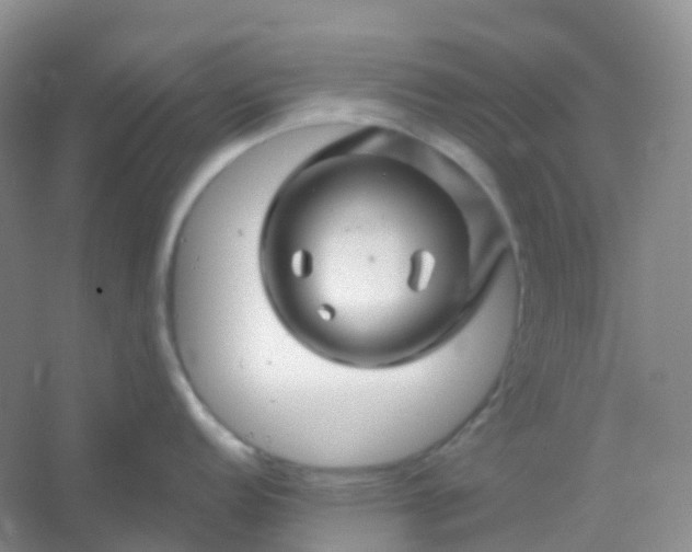 X0000054461152200508121930