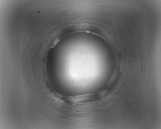 X0000054461153200508121930