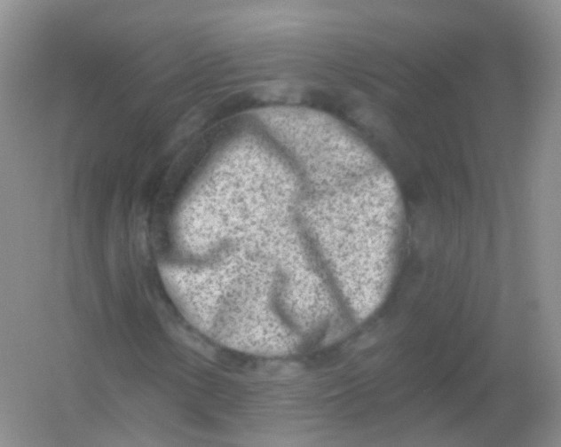 X0000054461154200508121930