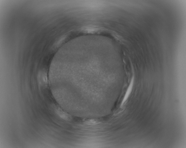 X0000054461155200508121930