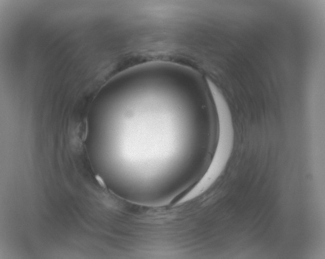 X0000054461156200508121930