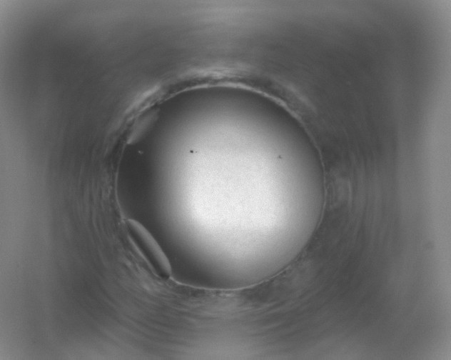 X0000054461158200508121930