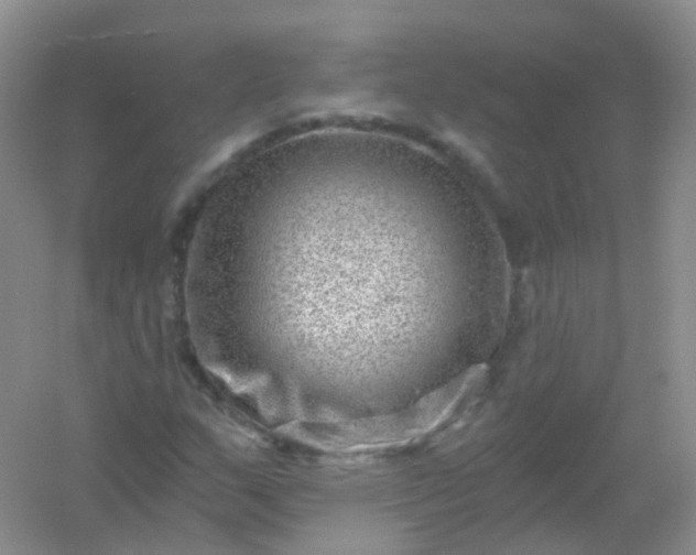 X0000054461159200508121930