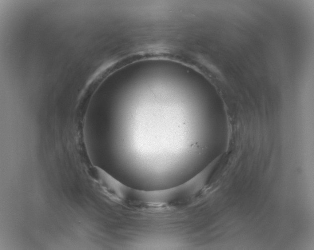 X0000054461160200508121930