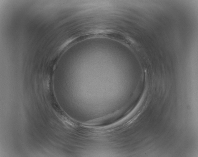 X0000054461161200508121929