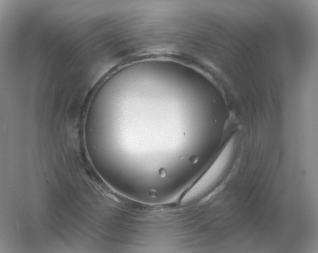 X0000054461162200508121929