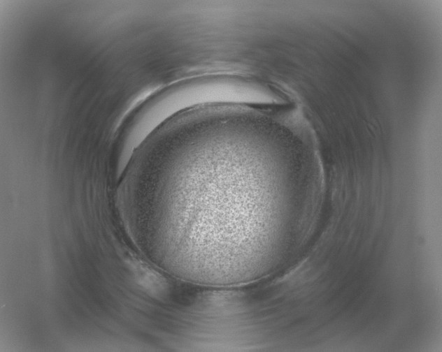 X0000054461163200508121929