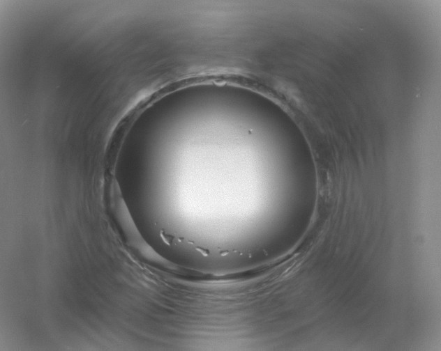 X0000054461165200508121929