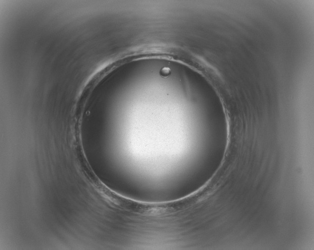 X0000054461166200508121929