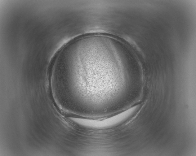 X0000054461167200508121929