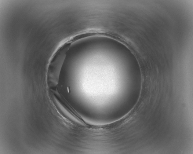 X0000054461168200508121929