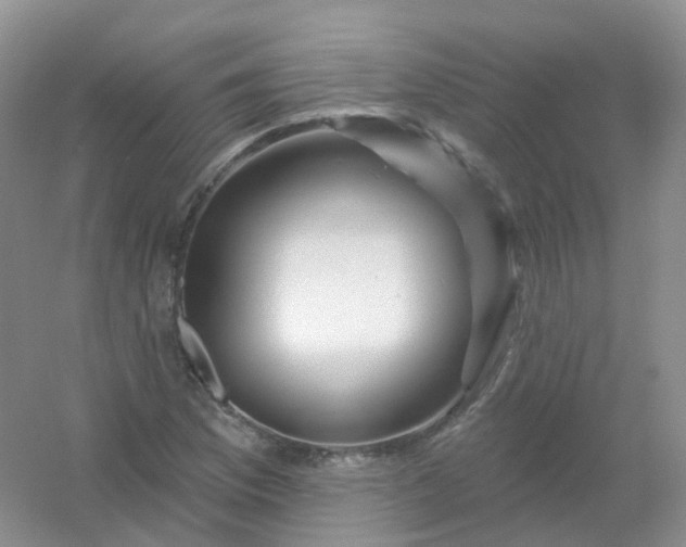 X0000054461169200508121929