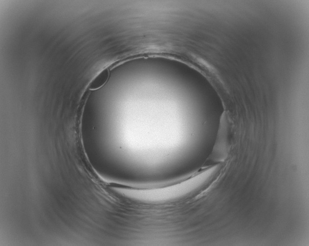 X0000054461170200508121929