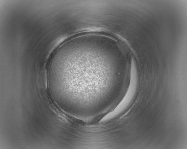 X0000054461171200508121929