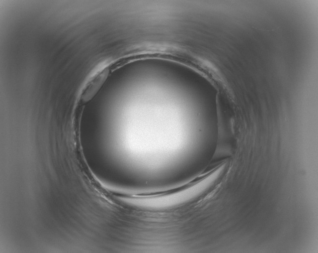 X0000054461172200508121929