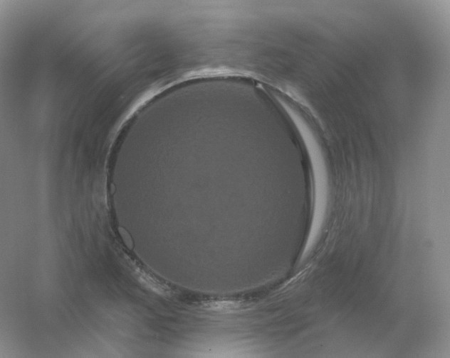 X0000054461173200508121929