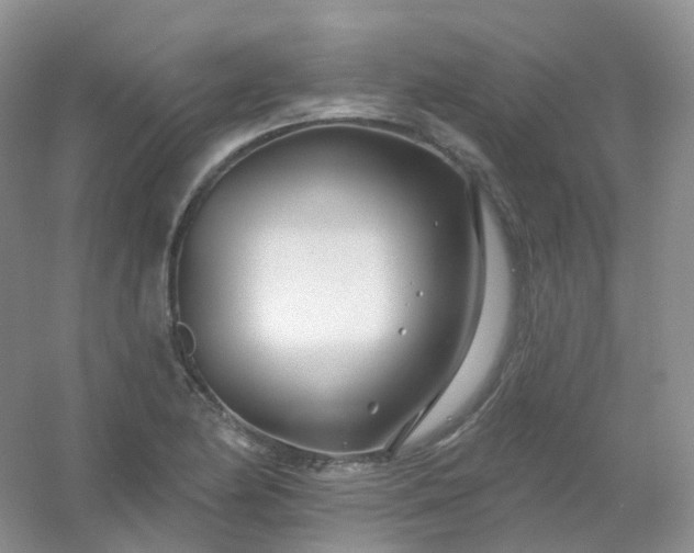 X0000054461174200508121929