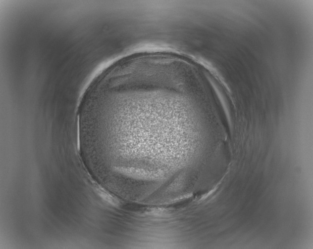 X0000054461175200508121929