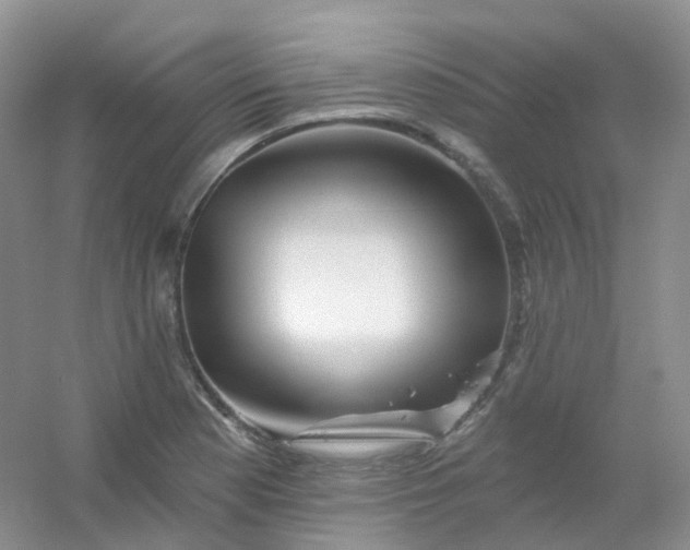 X0000054461177200508121929